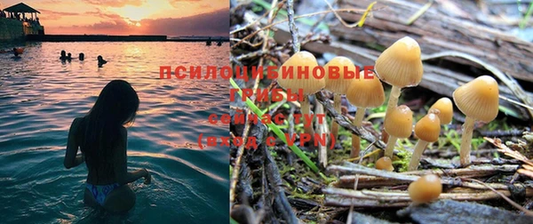 MDMA Premium VHQ Абдулино