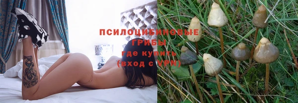 индика Данков