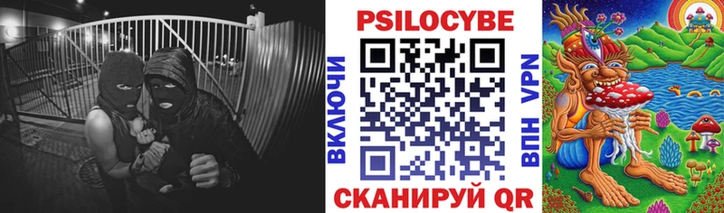 Псилоцибиновые грибы GOLDEN TEACHER  kraken зеркало  Зеленодольск  купить  
