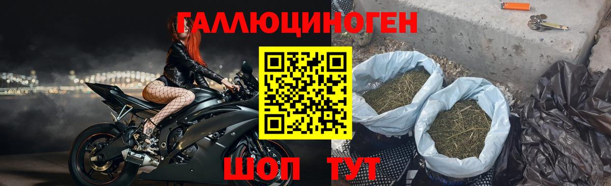 Галлюциногенные грибы Psilocybine cubensis  Вход с VPN  Зеленодольск 