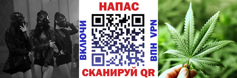 купить  сайты  Зеленодольск  Марихуана гибрид 